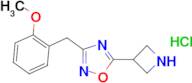 5-azetidin-3-yl-3-(2-methoxybenzyl)-1,2,4-oxadiazole hydrochloride