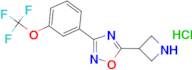 5-azetidin-3-yl-3-[3-(trifluoromethoxy)phenyl]-1,2,4-oxadiazole hydrochloride