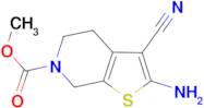 methyl 2-amino-3-cyano-4,7-dihydrothieno[2,3-c]pyridine-6(5H)-carboxylate