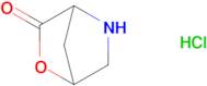2-Oxa-5-azabicyclo[2.2.1]heptan-3-one hydrochloride