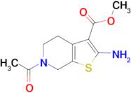 methyl 6-acetyl-2-amino-4,5,6,7-tetrahydrothieno[2,3-c]pyridine-3-carboxylate