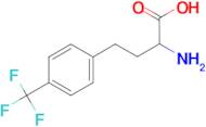 2-amino-4-[4-(trifluoromethyl)phenyl]butanoic acid