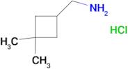 (3,3-dimethylcyclobutyl)methanamine hydrochloride