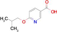 6-isobutoxynicotinic acid