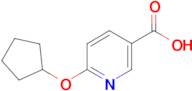 6-(cyclopentyloxy)nicotinic acid