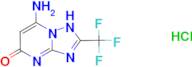 7-amino-2-(trifluoromethyl)[1,2,4]triazolo[1,5-a]pyrimidin-5-ol hydrochloride