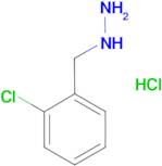 (2-chlorobenzyl)hydrazine hydrochloride