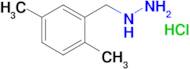 (2,5-dimethylbenzyl)hydrazine hydrochloride