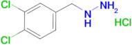 (3,4-dichlorobenzyl)hydrazine hydrochloride