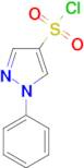 1-phenyl-1H-pyrazole-4-sulfonyl chloride