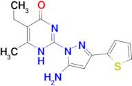 2-[5-amino-3-(2-thienyl)-1H-pyrazol-1-yl]-5-ethyl-6-methylpyrimidin-4(3H)-one