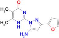 2-[5-amino-3-(2-furyl)-1H-pyrazol-1-yl]-5,6-dimethylpyrimidin-4(3H)-one