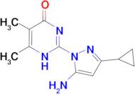 2-(5-amino-3-cyclopropyl-1H-pyrazol-1-yl)-5,6-dimethylpyrimidin-4(3H)-one