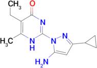 2-(5-amino-3-cyclopropyl-1H-pyrazol-1-yl)-5-ethyl-6-methylpyrimidin-4(3H)-one