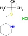 2-[(tert-butylsulfanyl)methyl]piperidine hydrochloride