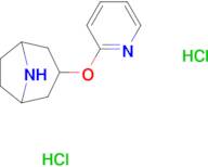 3-(pyridin-2-yloxy)-8-azabicyclo[3.2.1]octane dihydrochloride