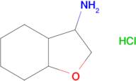 octahydrobenzofuran-3-amine hydrochloride