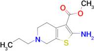 methyl 2-amino-6-propyl-4,5,6,7-tetrahydrothieno[2,3-c]pyridine-3-carboxylate