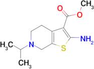 methyl 2-amino-6-isopropyl-4,5,6,7-tetrahydrothieno[2,3-c]pyridine-3-carboxylate