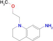 1-(2-methoxyethyl)-1,2,3,4-tetrahydroquinolin-7-amine