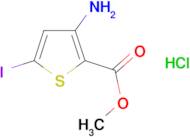 Methyl 3-amino-5-iodothiophene-2-carboxylate hydrochloride