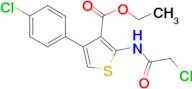 ethyl 2-(2-chloroacetamido)-4-(4-chlorophenyl)thiophene-3-carboxylate