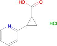 2-(pyridin-2-yl)cyclopropane-1-carboxylic acid hydrochloride