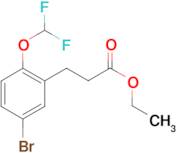 ethyl 3-[5-bromo-2-(difluoromethoxy)phenyl]propanoate