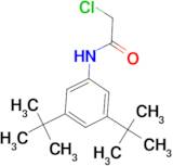 2-chloro-N-(3,5-di-tert-butylphenyl)acetamide