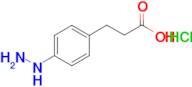 3-(4-hydrazinylphenyl)propanoic acid hydrochloride