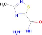 3-methyl-1,2,4-thiadiazole-5-carbohydrazide