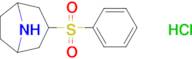 3-(phenylsulfonyl)-8-azabicyclo[3.2.1]octane hydrochloride