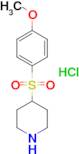 4-[(4-methoxyphenyl)sulfonyl]piperidine hydrochloride