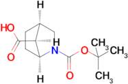 rac-(1S,4R,7S)-2-(tert-butoxycarbonyl)-2-azabicyclo[2.2.1]heptane-7-carboxylic acid