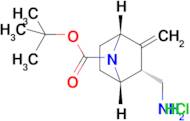 tert-butyl rac-(1S,2R,4R)-2-(aminomethyl)-3-methylene-7-azabicyclo[2.2.1]heptane-7-carboxylate hyd…