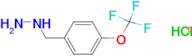 (4-(Trifluoromethoxy)benzyl)hydrazine dihydrochloride