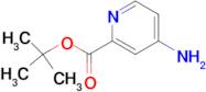 tert-Butyl 4-aminopicolinate