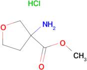 Methyl 3-aminotetrahydrofuran-3-carboxylate hydrochloride