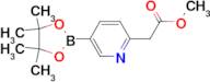 Methyl 2-(5-(4,4,5,5-tetramethyl-1,3,2-dioxaborolan-2-yl)pyridin-2-yl)acetate