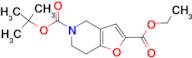 5-tert-Butyl 2-ethyl 6,7-dihydrofuro[3,2-c]pyridine-2,5(4H)-dicarboxylate