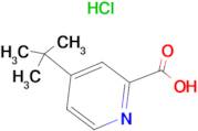 4-(tert-Butyl)picolinic acid hydrochloride