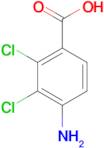 4-Amino-2,3-dichlorobenzoic acid