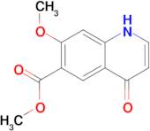 Methyl 7-methoxy-4-oxo-1,4-dihydroquinoline-6-carboxylate