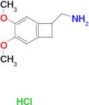 (3,4-Dimethoxybicyclo[4.2.0]octa-1,3,5-trien-7-yl)methanamine hydrochloride