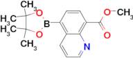 Methyl 5-(4,4,5,5-tetramethyl-1,3,2-dioxaborolan-2-yl)quinoline-8-carboxylate