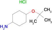 4-(tert-Butoxy)cyclohexanamine hydrochloride