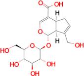 (1S,4aS,7aS)-7-(Hydroxymethyl)-1-(((2S,3R,4S,5S,6R)-3,4,5-trihydroxy-6-(hydroxymethyl)tetrahydro-2H-pyran-2-yl)oxy)-1,4a,5,7a-tetrahydrocyclopenta[c]pyran-4-carboxylic acid