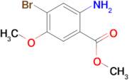 METHYL 2-AMINO-4-BROMO-5-METHOXYBENZOATE