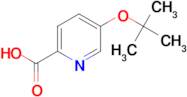 5-(TERT-BUTOXY)PICOLINIC ACID