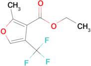 ETHYL 2-METHYL-4-(TRIFLUOROMETHYL)FURAN-3-CARBOXYLATE